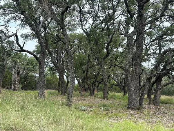 Goldthwaite, TX 76844,144 S Live Oak DR