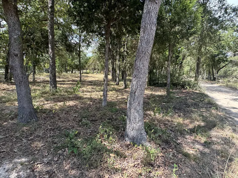 [Lot 2] 000 Jordan LN, Elgin, TX 78621