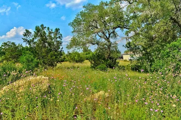 Spicewood, TX 78669,Lot 197 Marble Falls CT