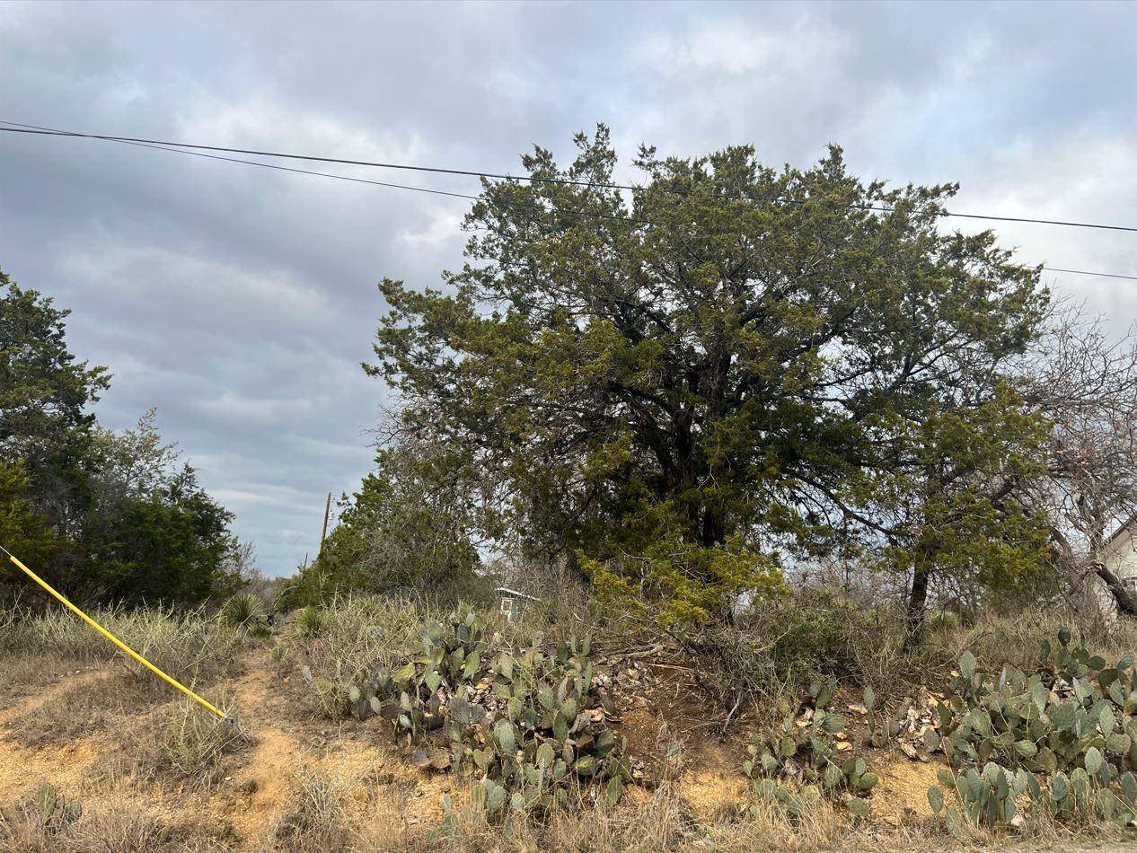 Granite Shoals, TX 78654,Lot 262 W Briarway DR