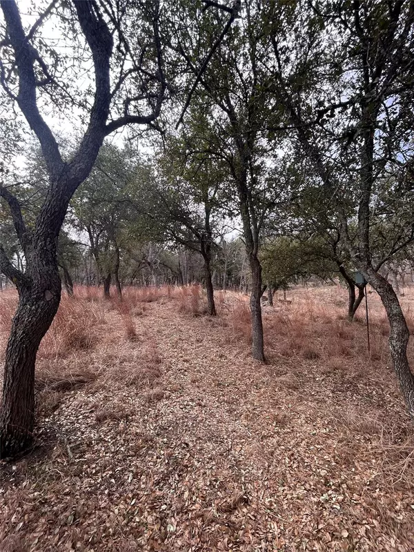 Lampasas, TX 76550,13203 Private Road 3642