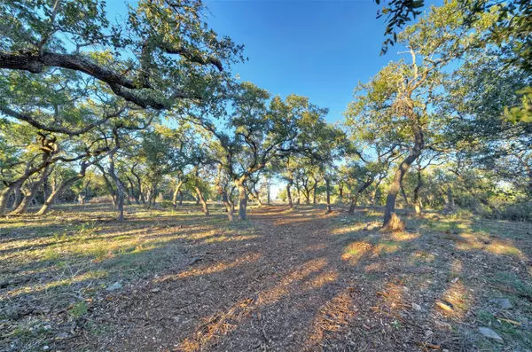 Wimberley, TX 78676,Lot 14 Puerto Rico DR