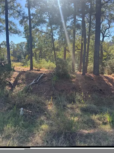 Lot 97 Kaelepulu DR, Bastrop, TX 78602