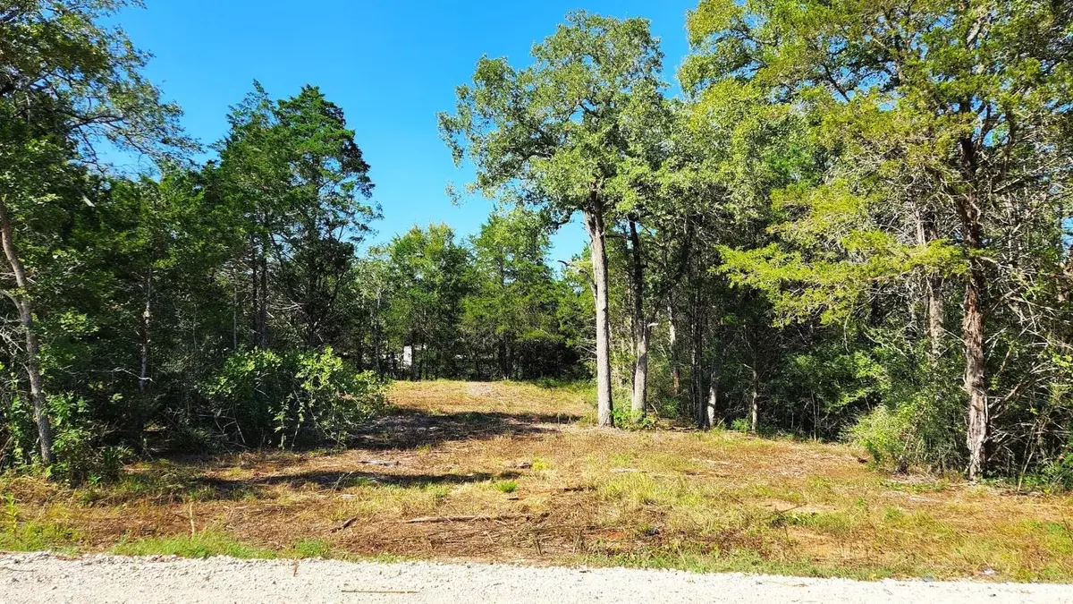 Smithville, TX 78957,Lot 357 Navaho DR