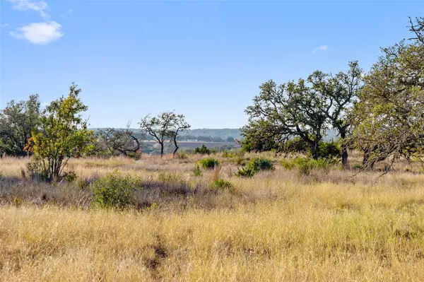 Fredericksburg, TX 78624,LOT 91 Axis CIR