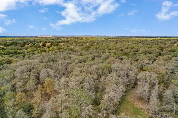 Lockhart, TX 78644,TBD Porter LN