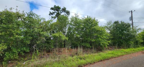 TBD Homonu (Lot 105) CT, Bastrop, TX 78602