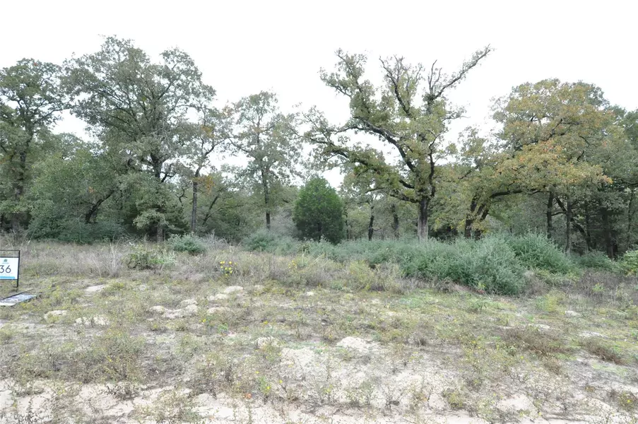 TBD OakView LN, Thrall, TX 76578