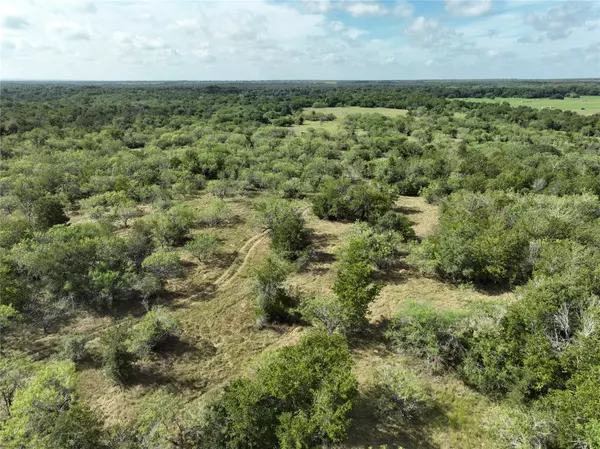 Waelder, TX 78629,TBD Lot 15 CR 424 RD