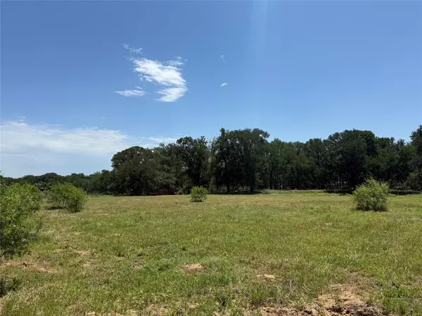 Cedar Creek, TX 78612,TBD White Tail Dr DR