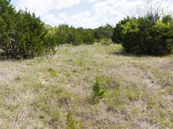 Bertram, TX 78605,Lot 607 Murphy DR