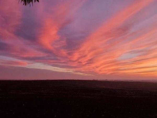 Coupland, TX 78615,975 County Road 458 (5.87 Acres)