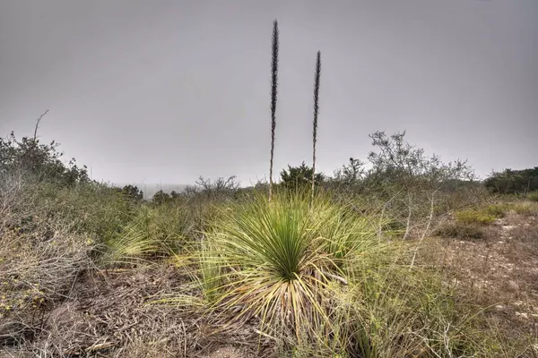 Brackettville, TX 78832,TBD Leona Ranch RD