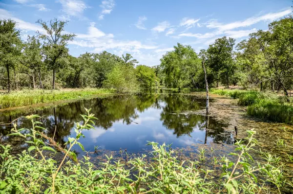 TBD FM 60 (45.01ac), Somerville, TX 77879