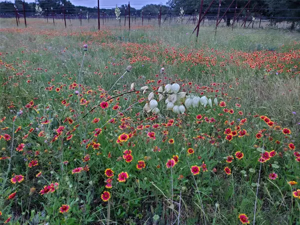 Salado, TX 76571,TBD Hidden Springs DR