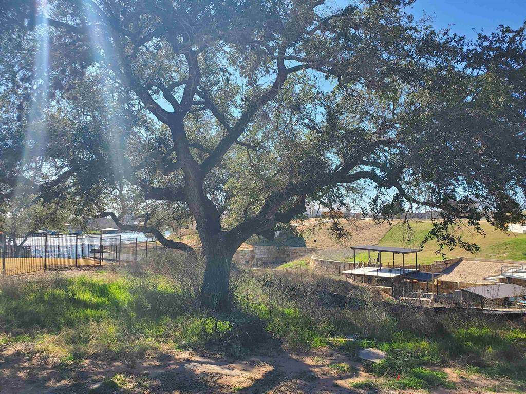 Kingsland, TX 78639,Address not disclosed