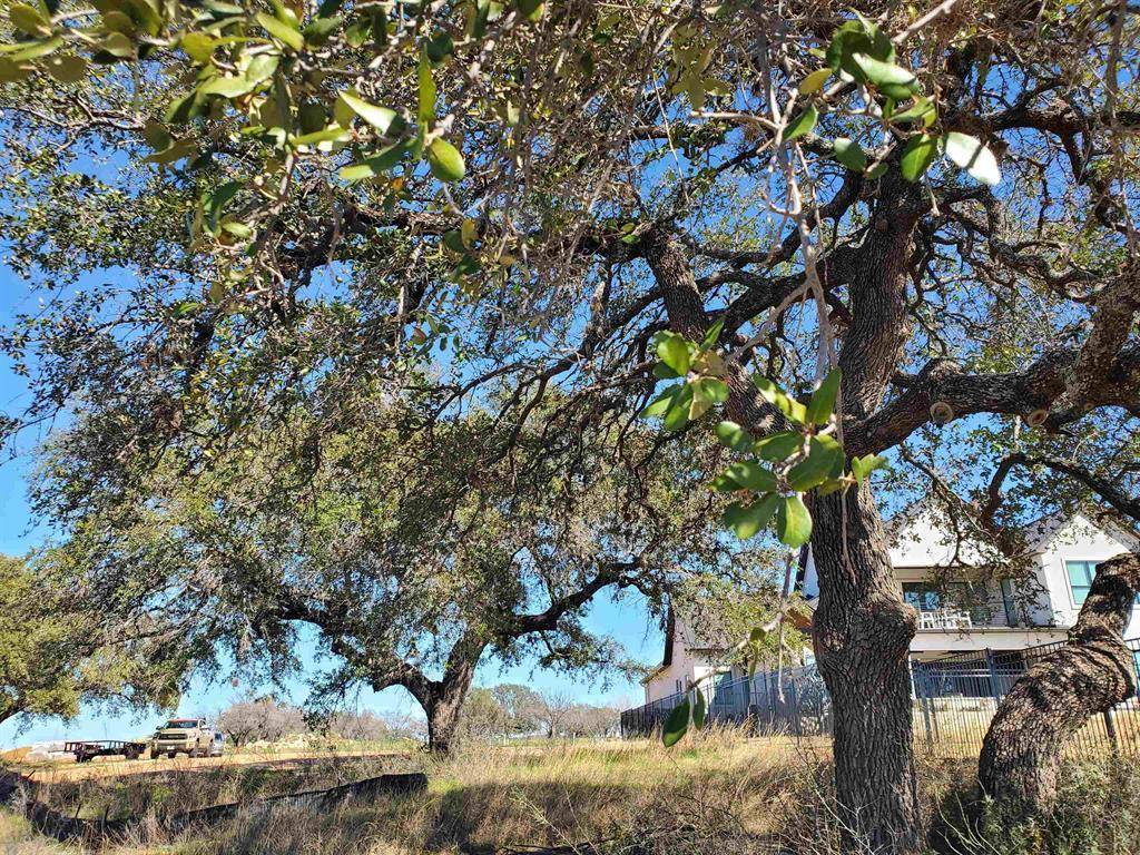 Kingsland, TX 78639,Address not disclosed