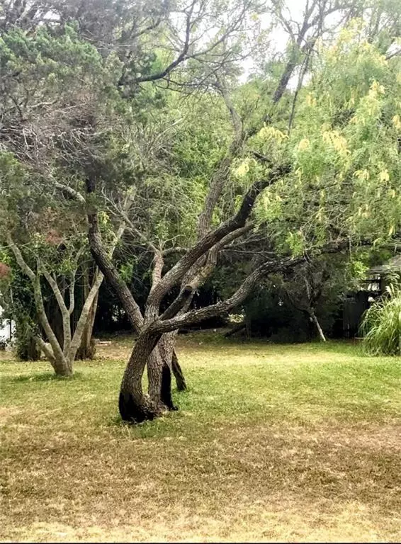 New Braunfels, TX 78132,1045 Peach Tree