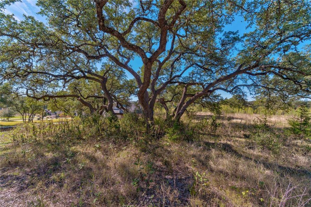 16917 WHISPERING BREEZE DR, Austin, TX 78738