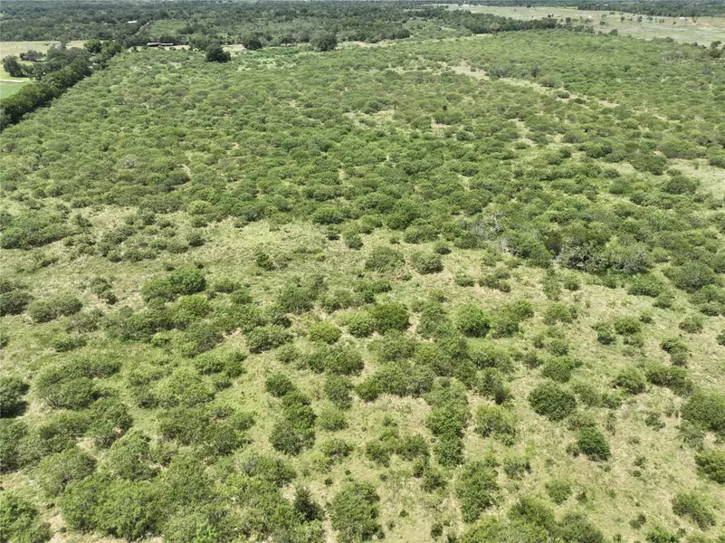 TBD Lot 10 Young LN, Lockhart, TX 78662