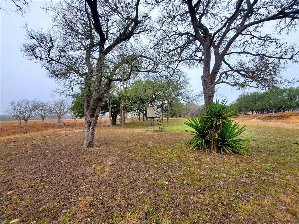 1156 Narrows RD, Blanco, TX 78606