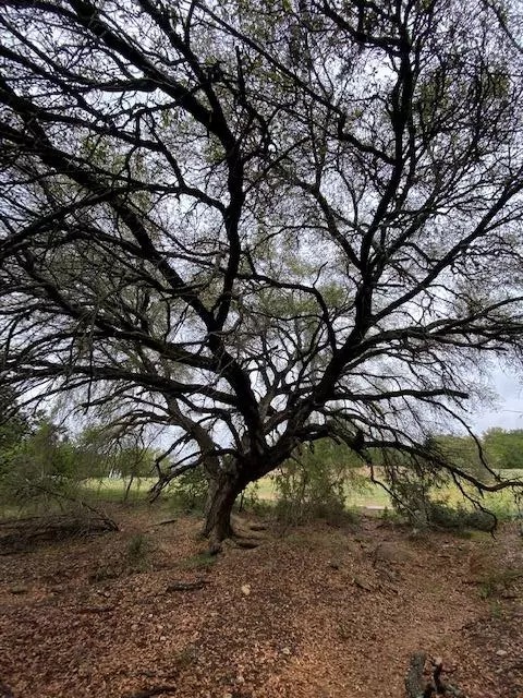 Lago Vista, TX 78645,3101 EARHART CV