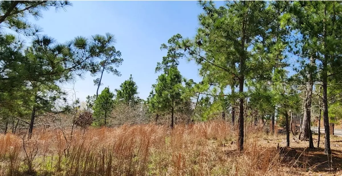 Bastrop, TX 78602,TBD OAHU CT