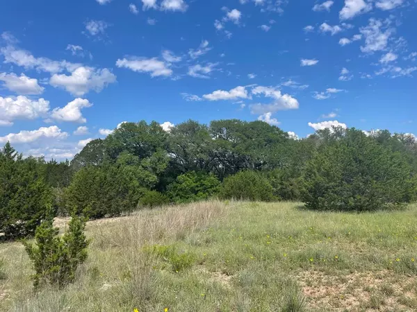 113 Live Oak Mott Drive HWY, Goldthwaite, TX 76844