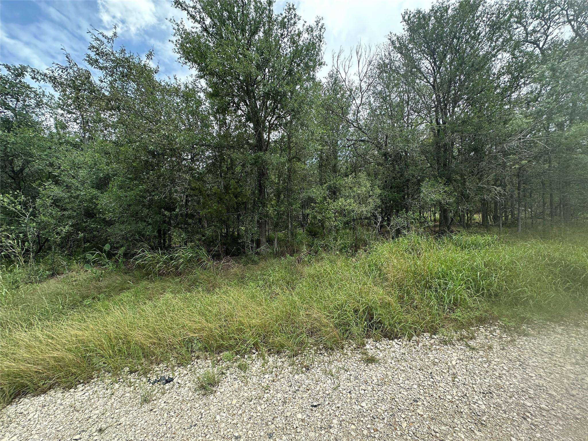 Bastrop, TX 78602,187 Puu Waa Waa LN