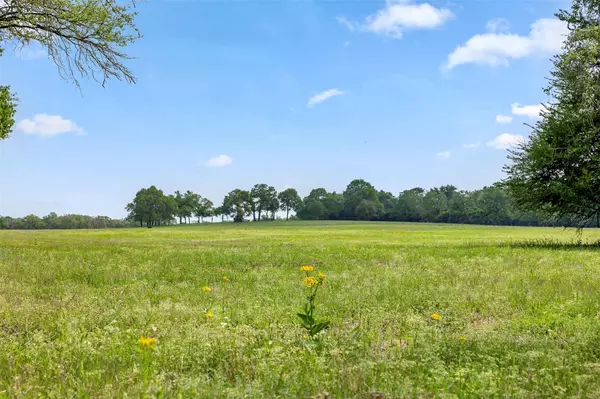 Lexington, TX 78947,1241 County Road 406