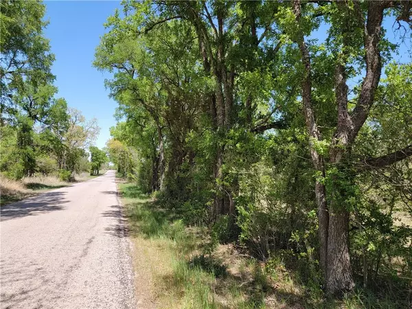 14609 Buckhorn Cemetery RD #Tract 9, Moody, TX 76557
