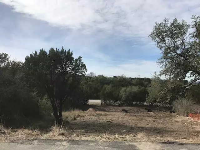 Spicewood, TX 78669,1006 Daviot DR