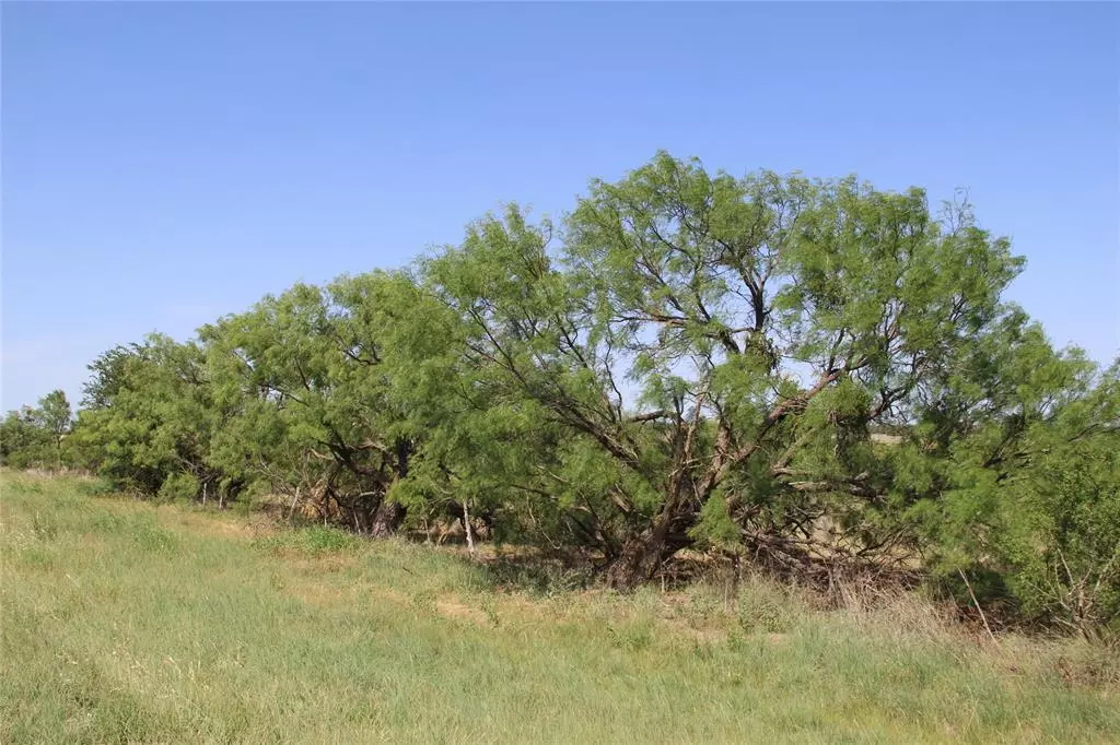 Brady, TX 76872,Tract B Hwy 377