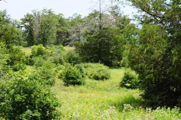 Rockdale, TX 76567,TBD County Road 322