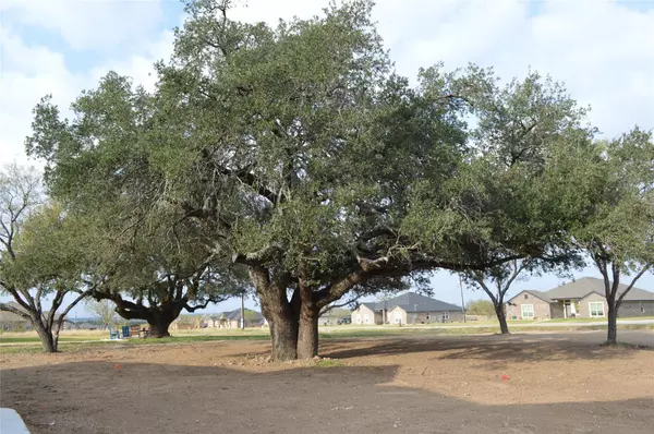 Kempner, TX 76539,425 County Road 3152