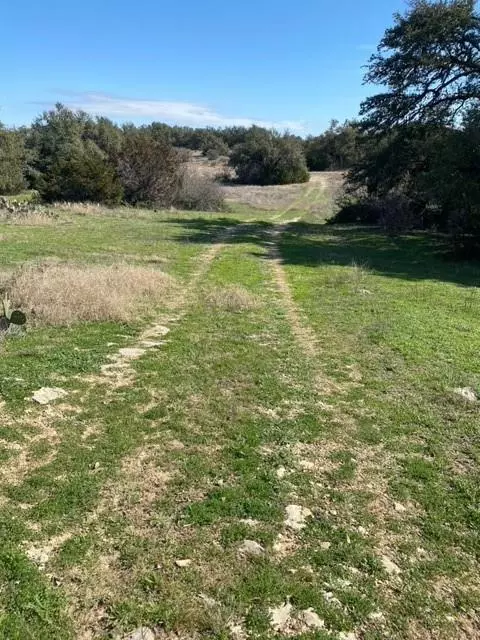 Spicewood, TX 78669,TBD Reimer's Ranch RD