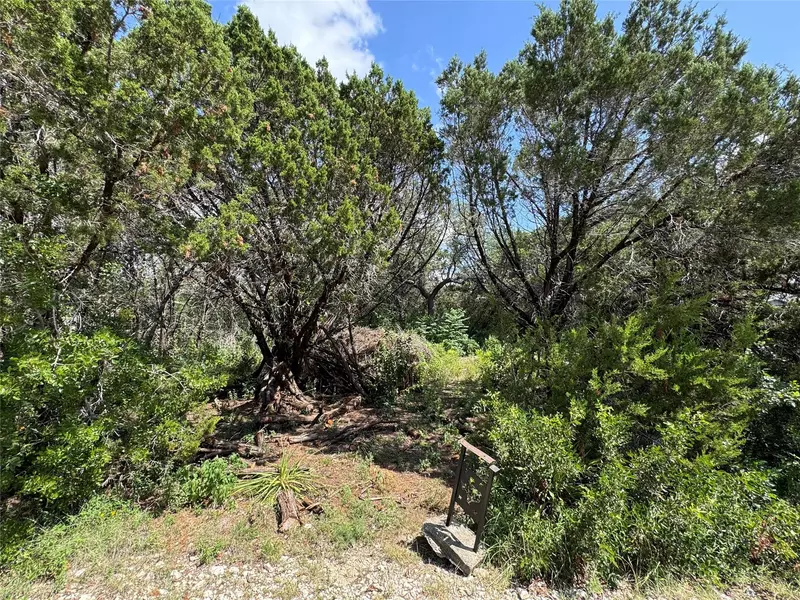 18304 Lake Oaks DR, Jonestown, TX 78645