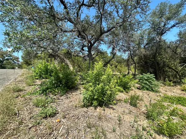 Jonestown, TX 78645,18310 Austin DR