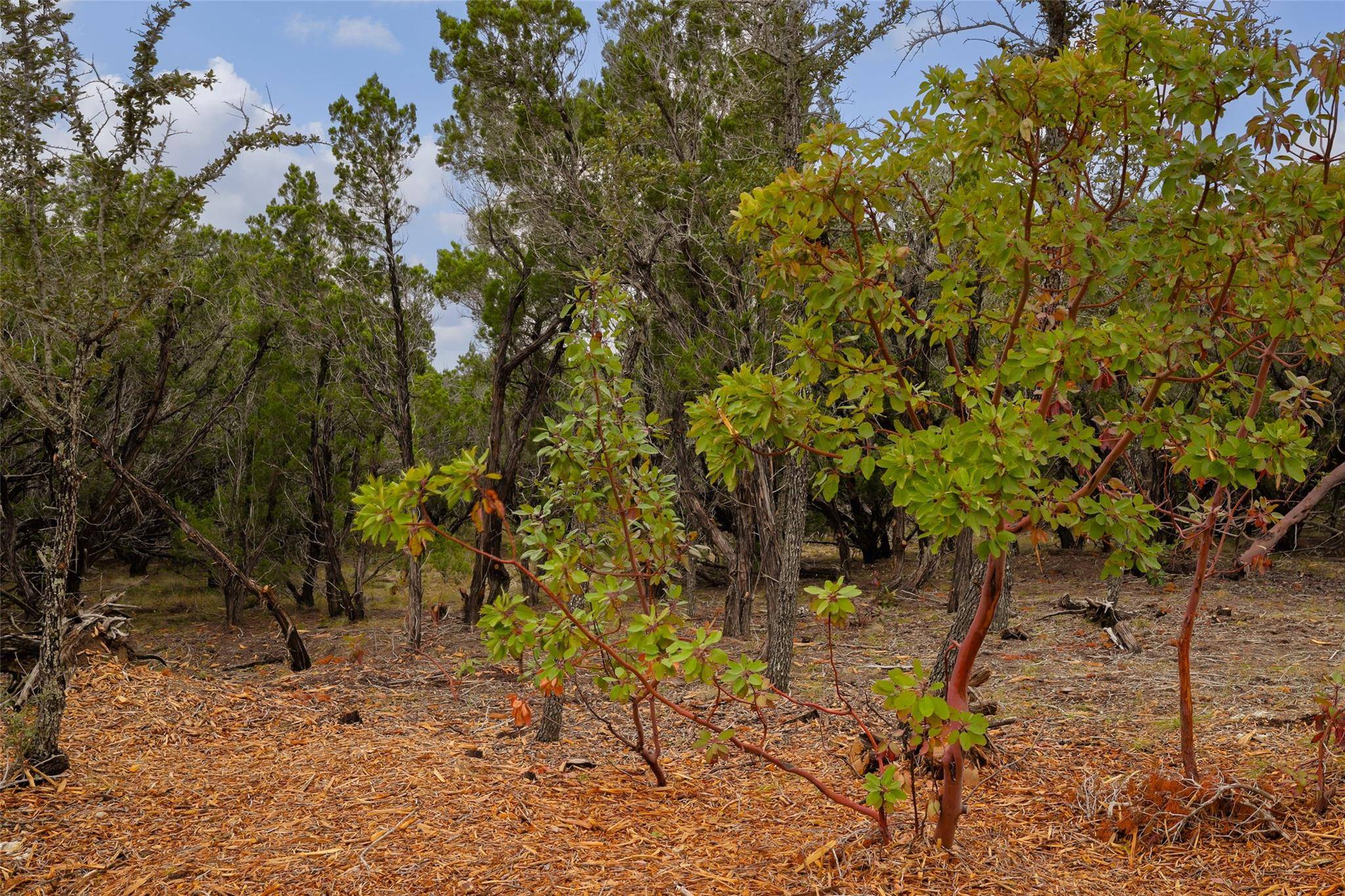 2900 Stagecoach Ranch LOOP, Dripping Springs, TX 78620