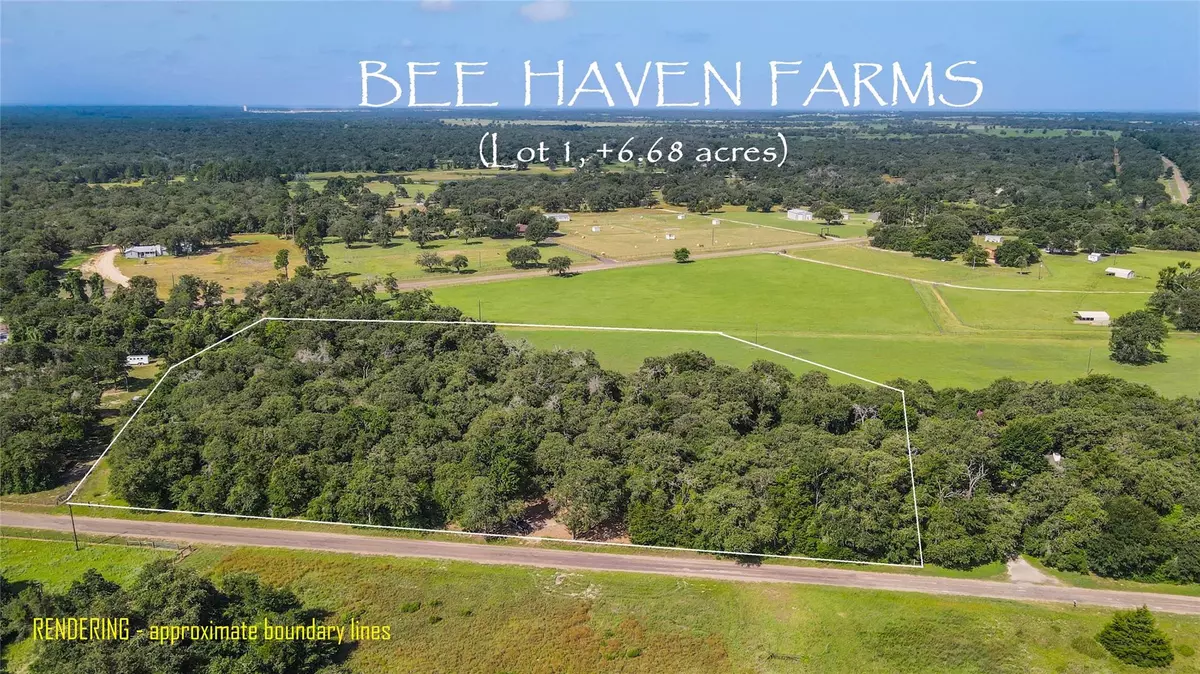 Caldwell, TX 77836,TBD County Road 315 (6.6 acres)