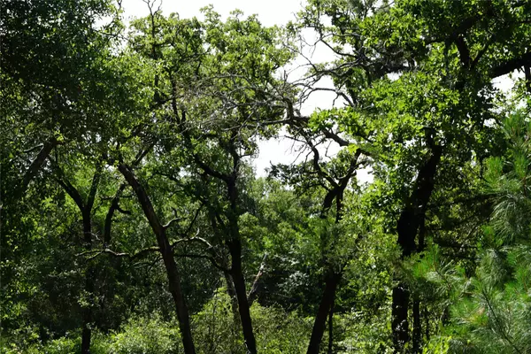 Rockdale, TX 76567,5548 CR 322