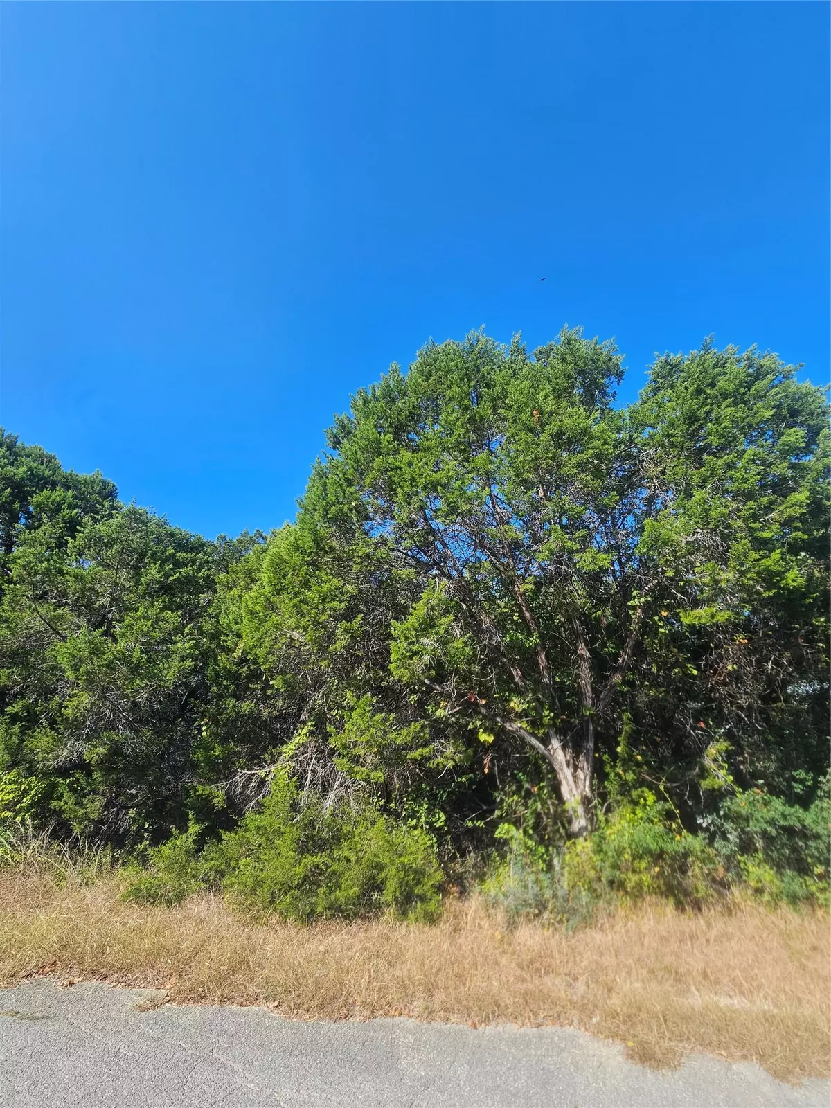 Lago Vista, TX 78645,7406 White Oak DR