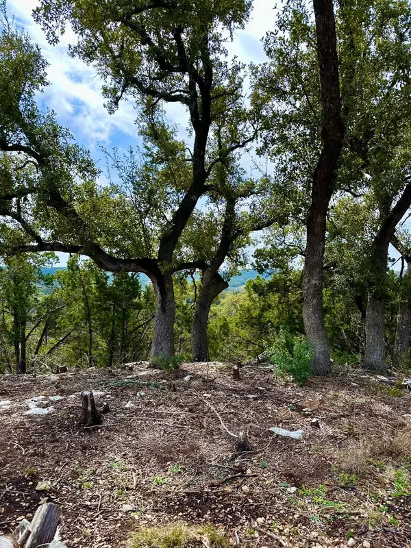 Spring Branch, TX 78070,795 Cimarron