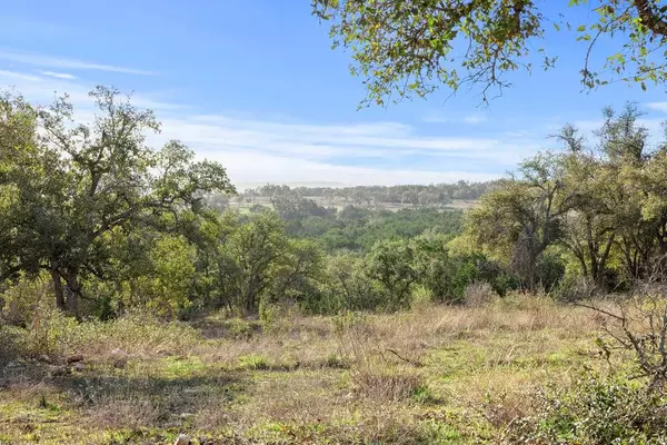 Johnson City, TX 78636,Lot39 Prancing Deer LN