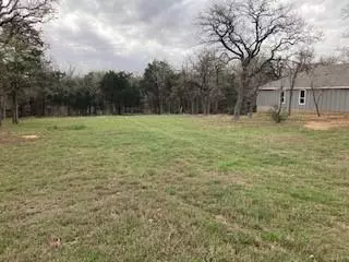 Cedar Creek, TX 78612,133 Deep Woods CT