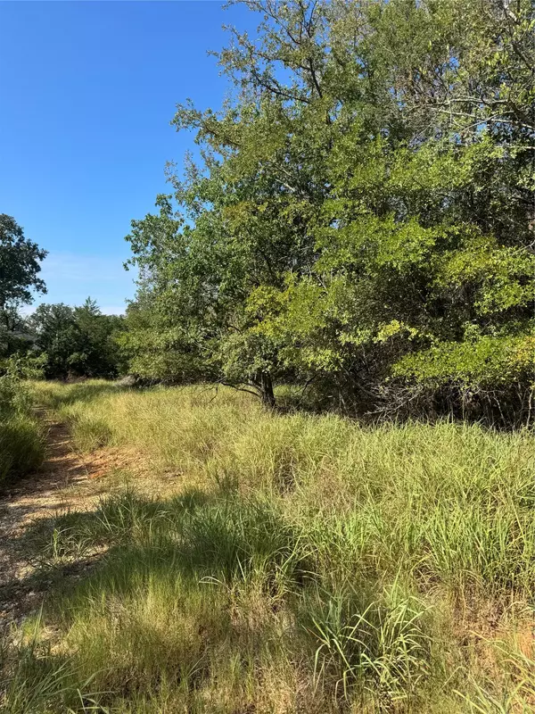 118 Heleakala DR, Bastrop, TX 78602