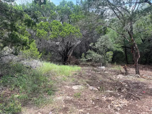 Lago Vista, TX 78645,7413 Spanish Oak DR