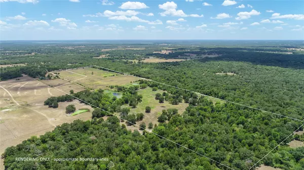 Somerville, TX 77879,TBD County Road 132 (+/- 65 acres)