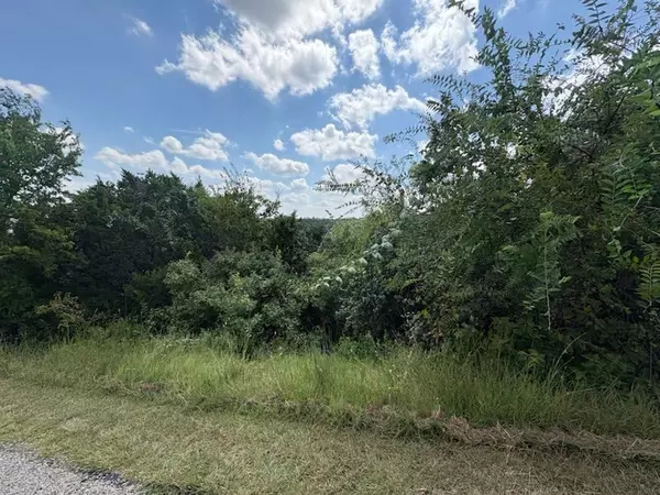 Bertram, TX 78605,47 Balcones Ridge WAY