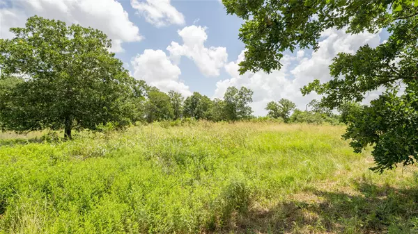 Rockdale, TX 76567,5672 County Road 314